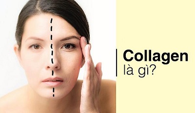 collagen-la-gi-1