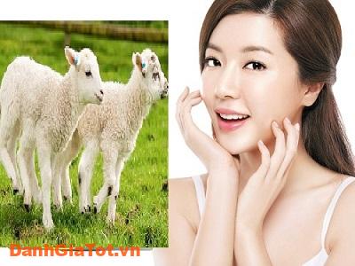 collagen nhau thai cừu 7