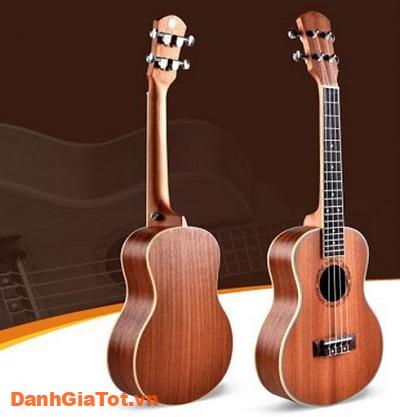 dan-ukulele-4