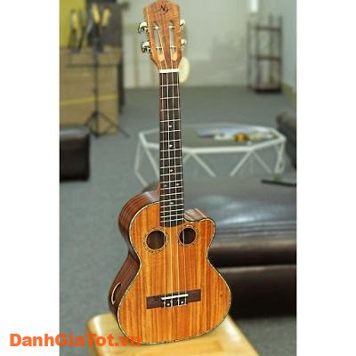 dan-ukulele-5