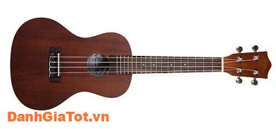 dan-ukulele-6
