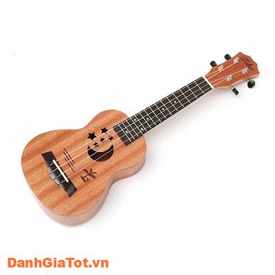 dan-ukulele-8