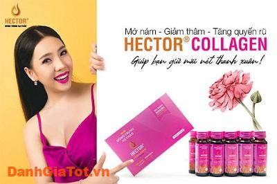 hector collagen 4