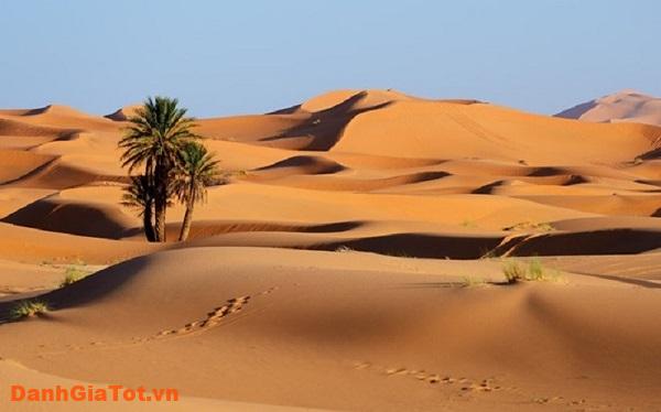 hoang mạc lớn nhất thế giới 5
