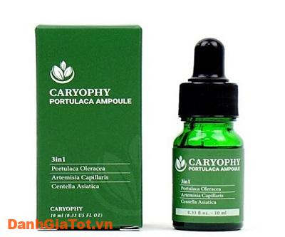 serum caryophy 3