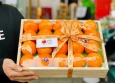 Top 10 Shop trái cây nhập khẩu Cần Thơ uy tín, sạch và an toàn