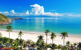 Top 8 bãi biển Đà Nẵng đẹp thu hút ánh nhìn mọi du khách
