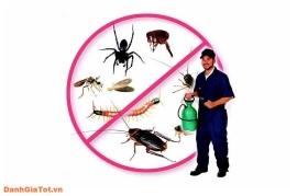 Top 8 công ty cung cấp dịch vụ diệt côn trùng tận gốc tốt