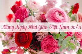 Lời chúc 20/11 mừng ngày Nhà giáo Việt Nam ý nghĩa nhất