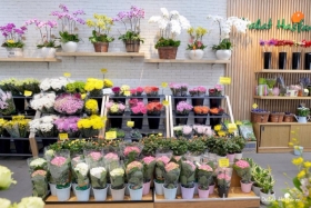 Top 10 Shop hoa tươi Bình Dương uy tín, không đẹp không lấy tiền