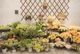 Top 10 Shop hoa tươi Đồng Tháp hoa đẹp, giá cực tốt mà bạn nên mua