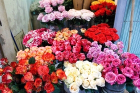 Top 10 Shop hoa tươi Hà Nam đẹp không tưởng, chất lượng hàng đầu