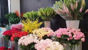 Top 10 shop hoa tươi Nam Định giá tốt, mẫu mã đẹp nhất cho bạn tham khảo