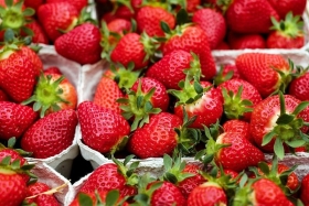 Top 9 Shop trái cây nhập khẩu Quảng Bình hoa quả sạch, giá tốt