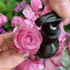 Top 6 dòng sữa tắm hoa hồng thơm lâu và dưỡng da mềm mịn